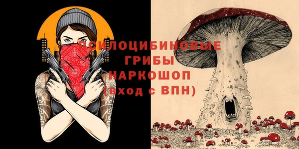 спайс Балабаново
