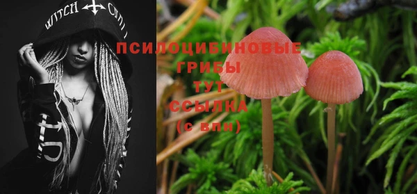 спайс Балабаново